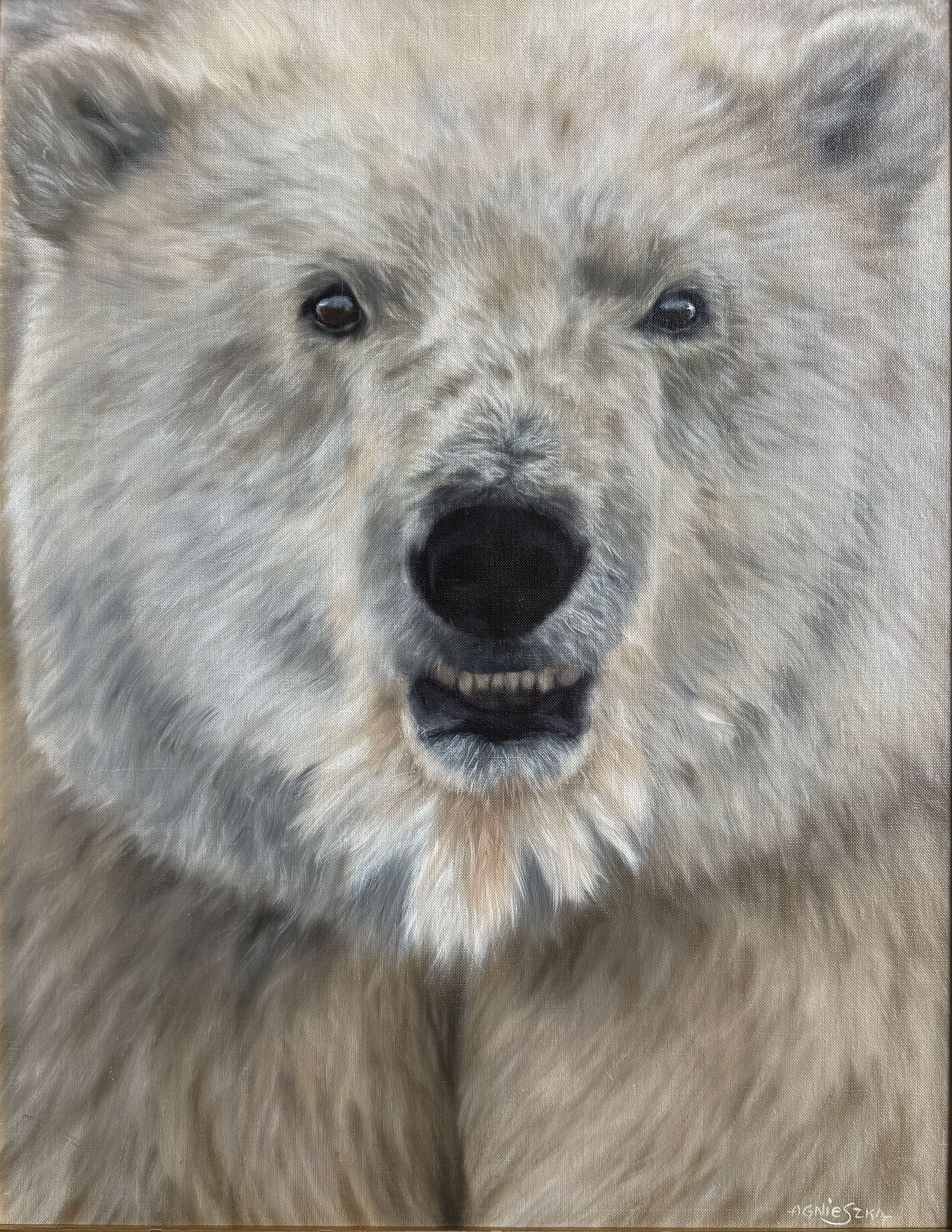 Nanuq