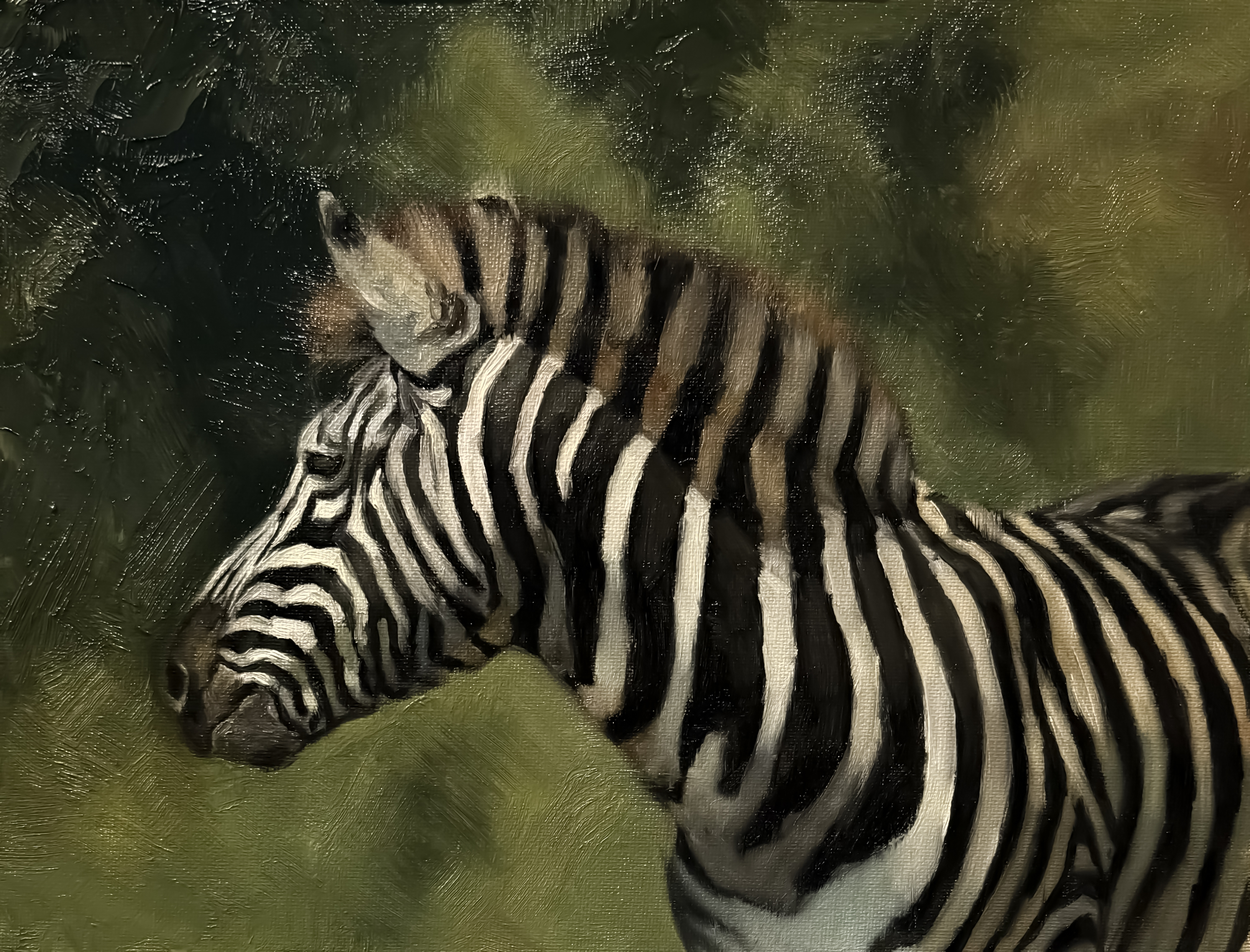 Stripes